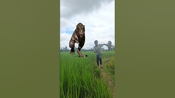 Unreal VFX Transformation Epic Visual #VFX #VisualEffects #CinematicEdit #VFXMagic #funny #vfxpro