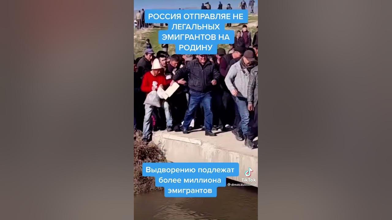 выдворение нелигальных мигрантов - YouTube