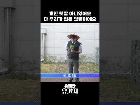 채소가 있었는데... 없었습니다 - 힐링에서 킬링이 된 이유는...?