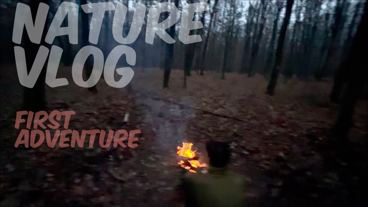 O Zi în adâncul Pădurii Vărbila 