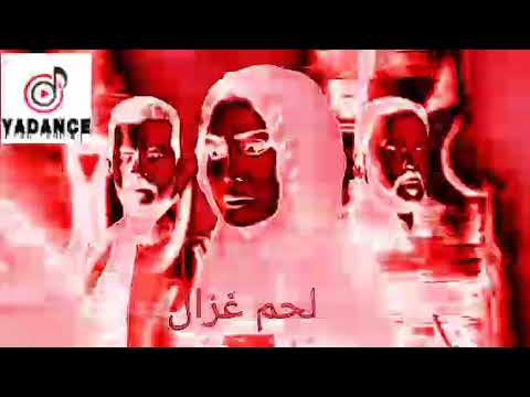اغنية ضرب للفنان سوسته من لحم غزال ضرب ضرب فيها ضرب
