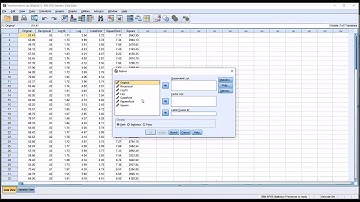 Comparing Data Transformations using SPSS and Excel