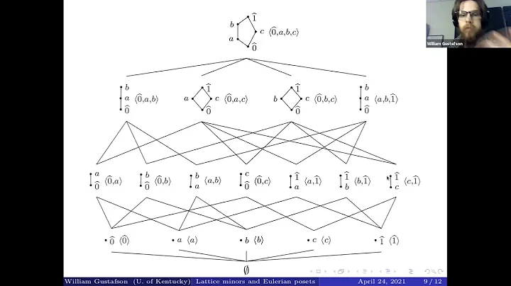 William Gustafson - Lattice minors and Eulerian po...