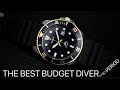 Best Budget Diver! The Casio Duro Gold