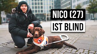 Sind Blindenhunde blind?