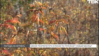 видео: Мокрый снег прогнозируют в Красноярске в начале октября картинка: Мокрый снег прогнозируют в Красноярске в начале октября