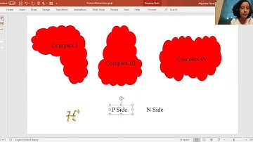 Proton motive force video