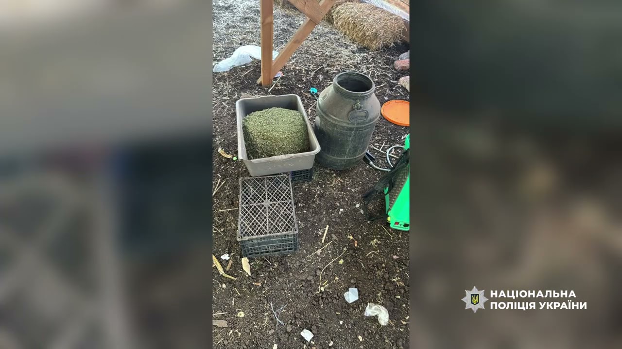 YouTube player