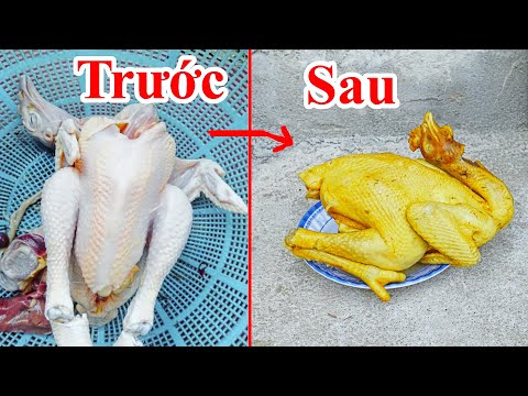 Cách Luộc GÀ VỊT Da Vàng Ươm Cực Hay / Hướng Dẫn Mẹo Luộc Thịt Vịt Gà Cúng Tết Da Vàng Đơn Giản