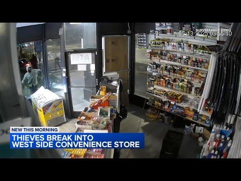 Video shows thieves