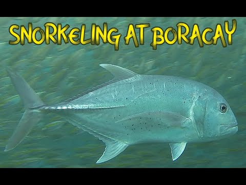 SNORKELING AT BORACAY - YouTube
