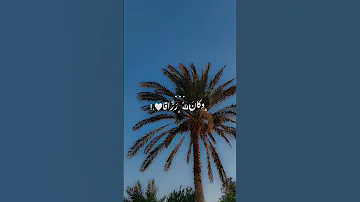 لها فرج إنشوده هادئه وجميله اناشيد فارس حميده بدون موسيقى اشتراك 