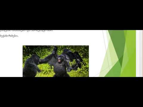 გიგი თევზაძე.  პირველი საზოგადოებები. შამანები და ბელადები. ლექცია 4.1.