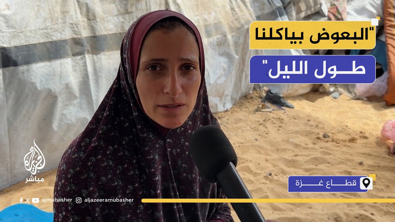 أمراض وحر وبعوض وقلة نظافة.. معاناة النازحين في غزة