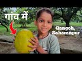 My village vlogs in gangoh  saharanpur up