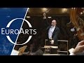 Mozart  symphony no 40 in g minor k 550 julien salemkour  staatskapelle berlin