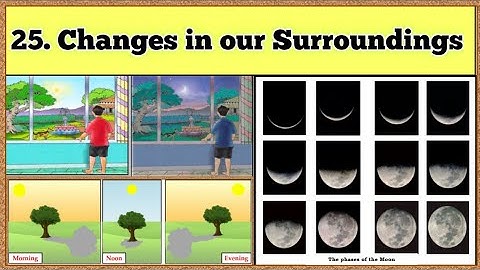 Changes in our Surroundings | Std 3 | lesson 25 | Environmental Studies | Maharashtra State Board