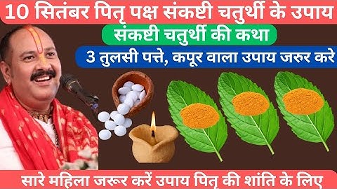 🕉️10 सितंबर पितृ पक्ष संकष्टी चतुर्थी के दिन 3 तुलसी पत्ते,कपूर वाला उपाय जरुर करे।Pradeepmishraji.