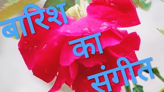 Baarish Ka Sangeet A Short Poem By Sarita Snigdh Jyotsna With Rain Visualshindipoetry 