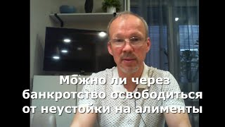 Иж Адвокат Пастухов. Можно ли через банкротство освободиться от неустойки на алименты.