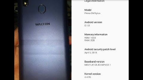 Walton Primo GM3 plus Flash File Care Firmware