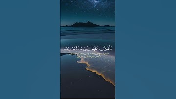 قرآن كريم ❤️❤️ #اذكروا_الله #fyp #قران_كريم #قران #quran_alkarim #quran #foryoupage❤️❤️ #for