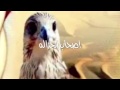 قصيدة  / الحر ماهو بملوك