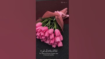 القارئ عبدالرحمن الماجد | سورة القدر - الآية 1،2،3،4،5 | #قرآن #قرآن_كريم #quran #اكسبلور #explore