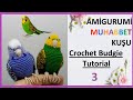 AMİGURUMİ MUHABBET KUŞU / AMİGURUMİ BİRD /AMİGURUMİ BUDGİE FREE PATTERN/ PART 3