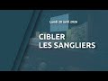 Cibler les sangliers