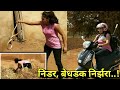 || यह व्हिडिओ देखकर आपके रोंगटे खड़े हो जाएंगे || Big cobra rescue by Nirzara Chitti ||