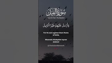 Surat Al-Fil (The Elephant) | Salim Bahanan | سورة الفيل #quran #memorize