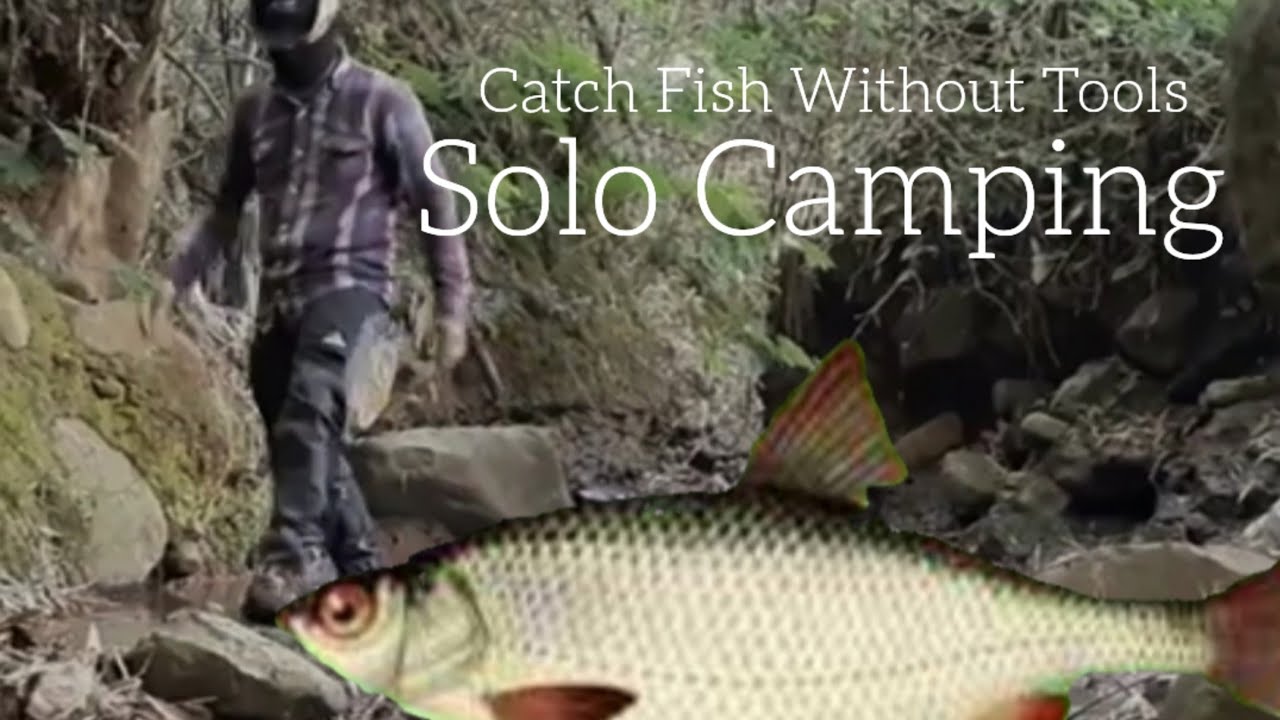 Catch Fish Without Tools - Solo Camping - YouTube