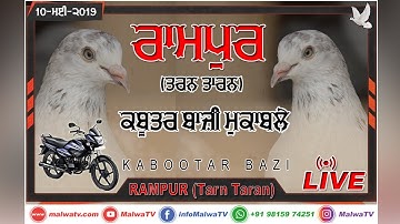 LIVE 🔴 RAMPUR (Tarn Tarn) KABOOTAR BAZI - ਕਬੂਤਰ ਬਾਜ਼ੀ ਮੁਕਾਬਲੇ - 2019 🔴 Help: +91 94652 83256 (1A)