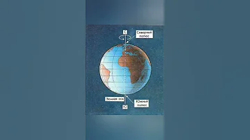 Почему белые медведи не едят пингвинов?
