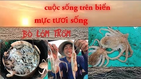Gia Đình Min, Officialghe 45 Kiên Giang kéo ốc, cuộc sống trên biển #1