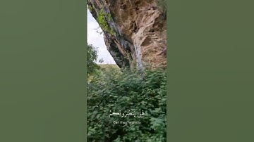 #سورة_الشعراء #ياسر_الدوسري #قرآن #islamiccelebration