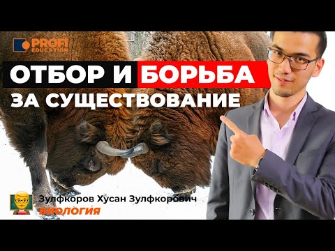 Видео: Что означает словосочетание «борьба за существование»?