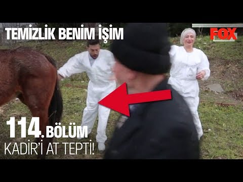 Kadir’i at tepti! Temizlik Benim İşim 114. Bölüm