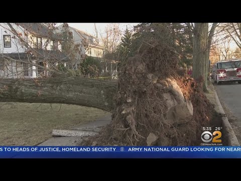 Winds Leave Path