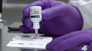 COVID-19 cases in Florida continue trending upward