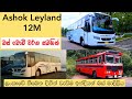 Ashok leyland  12m buses in sri lanka  bus body types