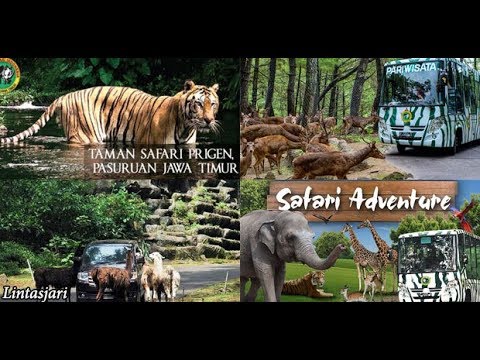 Wahana Sepeda Kayuh Taman Safari Prigen Pasuruan Jawa Timur