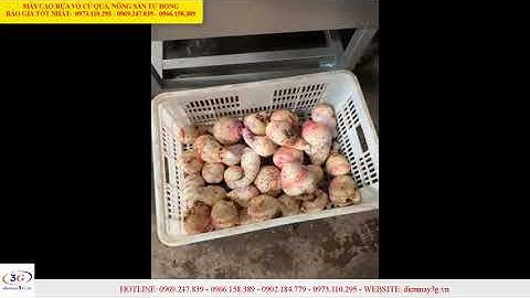 Máy Cạo Rửa Vỏ Củ Quả Đa Năng Lô Ngang: Cạo Khoai, Gừng, Nghệ,..| Điện Máy 3G