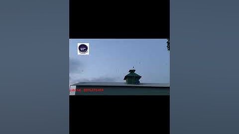 Xây Nhà yến tiền chế khung sắt và hiệu quả bất ngờ. Nhà yến đã 3 năm thu hoạch.