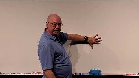 Professor Long 2401 Lecture 2.7 The Skin and Integument