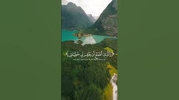 تلاوة تهز وجدانك وتخشع لها القلوب