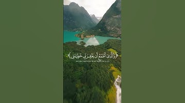 تلاوة تهز وجدانك وتخشع لها القلوب