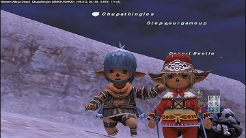 RDM/NIN LvL 41 Kills IT 47 Beetle Solo. @stepyourgameupgaminginc4958