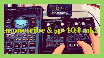 monotribe & sp-404 mk2 kaeru pikopiko Nu pikopiko♪ house  dance🕺